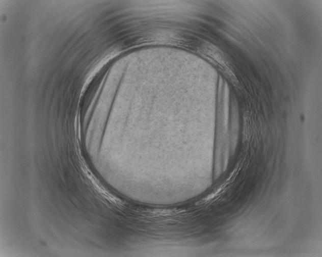 X0000066950796200604211814