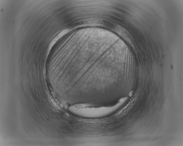 X0000066950797200604211814