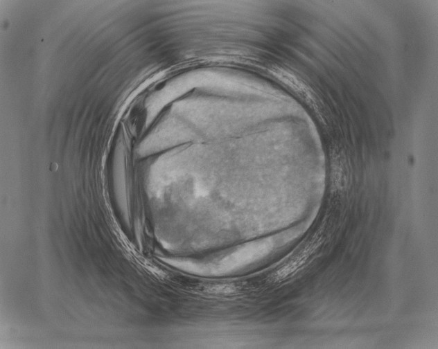 X0000066950798200604211814