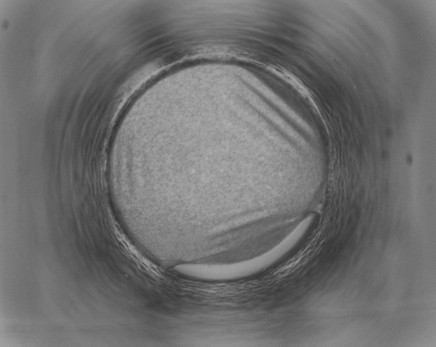 X0000066950799200604211814