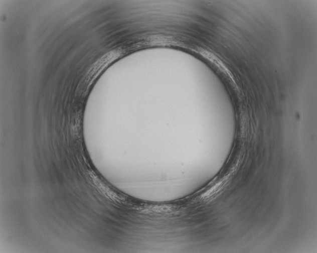 X0000066950801200604211814