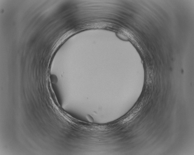 X0000066950802200604211814