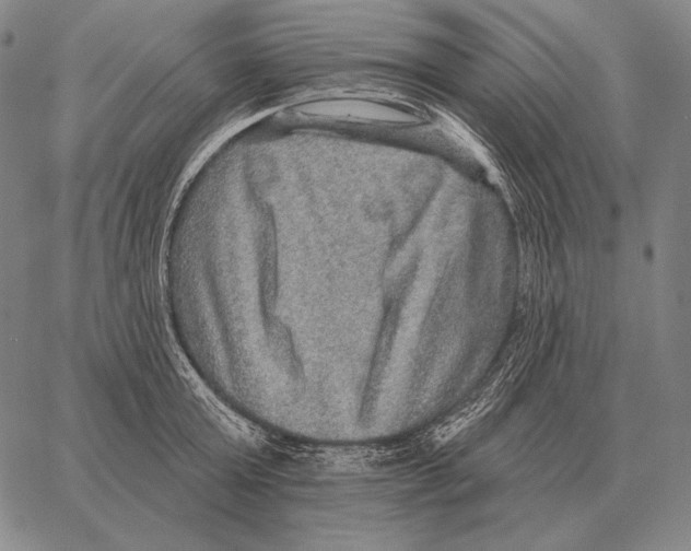 X0000066950803200604211814