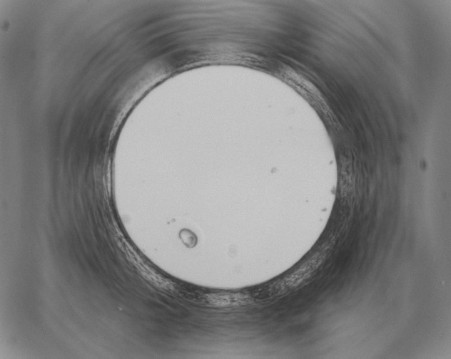 X0000066950804200604211814