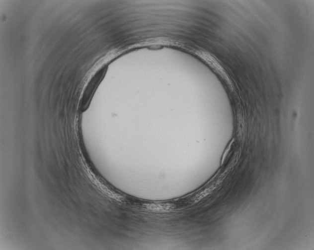 X0000066950805200604211814