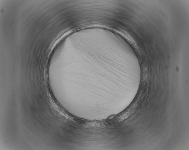 X0000066950806200604211814