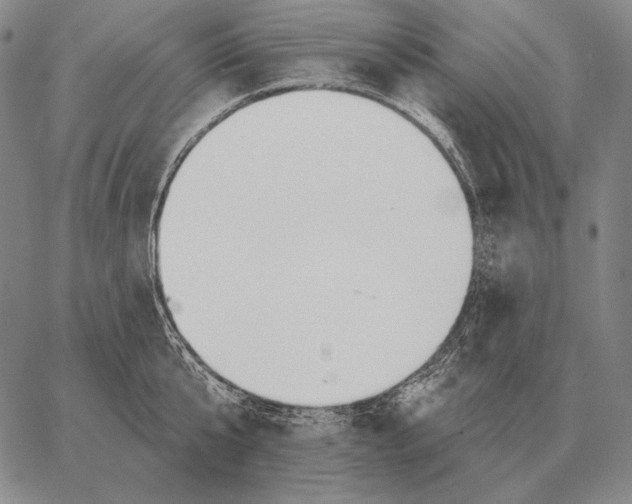 X0000066950807200604211814