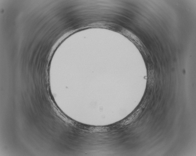 X0000066950808200604211814