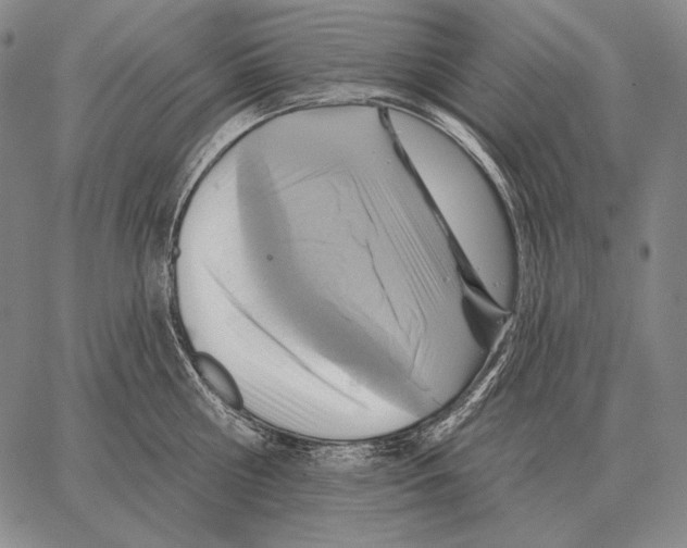 X0000066950810200604211814