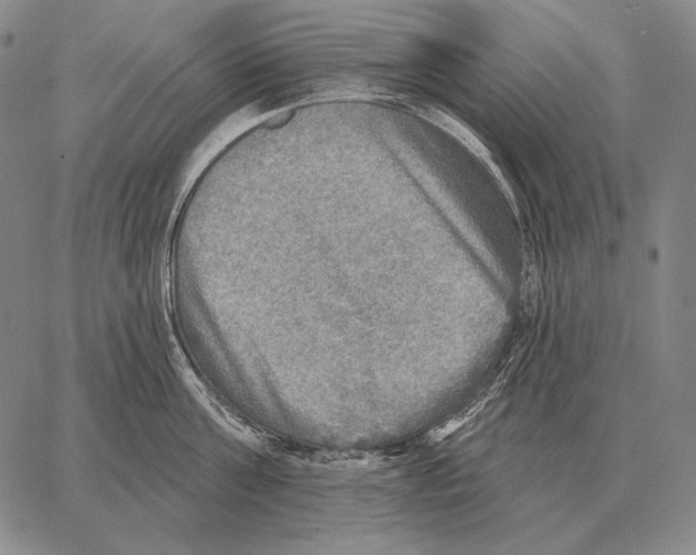 X0000066950811200604211813