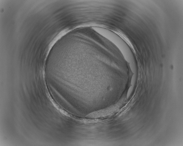 X0000066950813200604211813