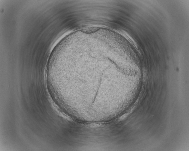 X0000066950814200604211813