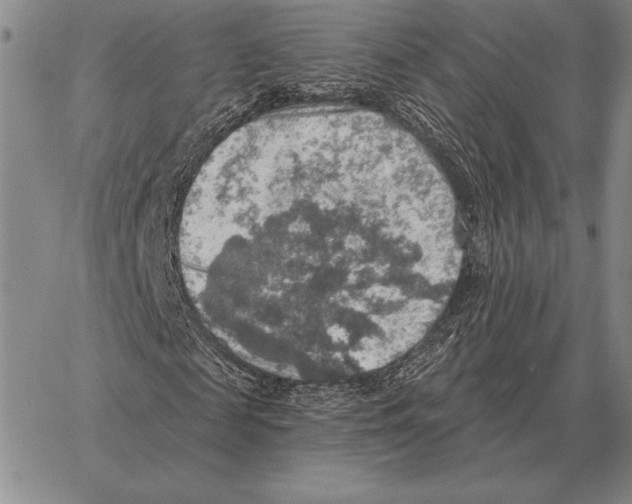 X0000066950817200604211813