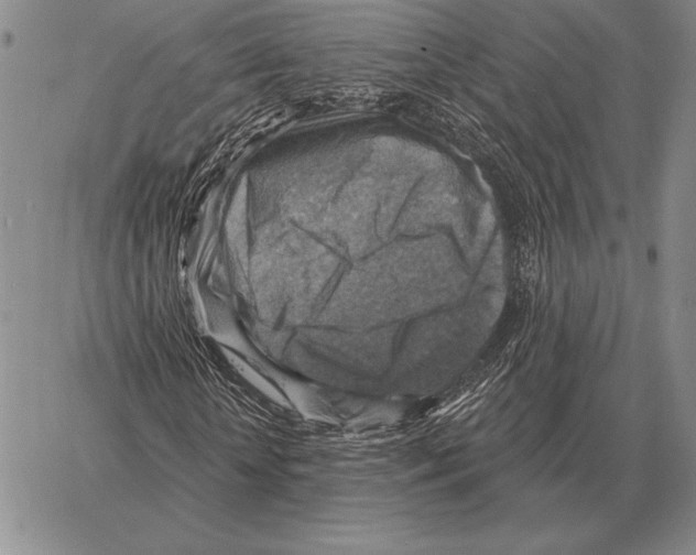 X0000066950818200604211813