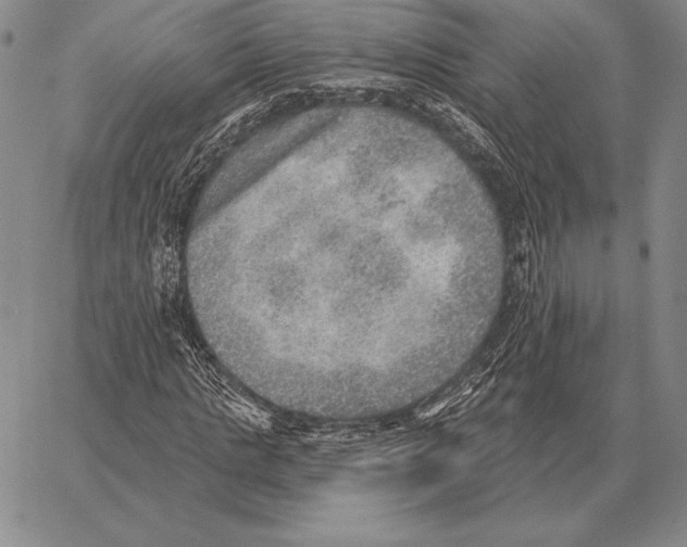 X0000066950821200604211813