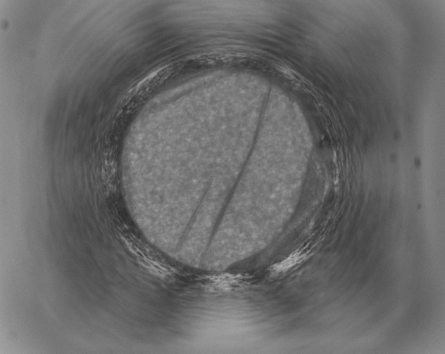 X0000066950822200604211813