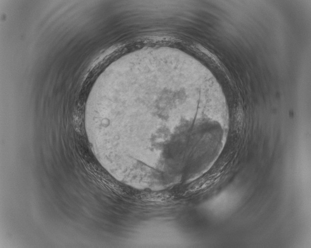 X0000066950823200604211813