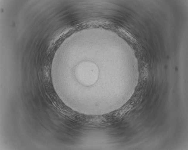 X0000066950824200604211813