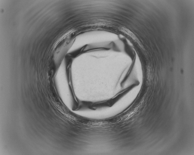 X0000066950826200604211813