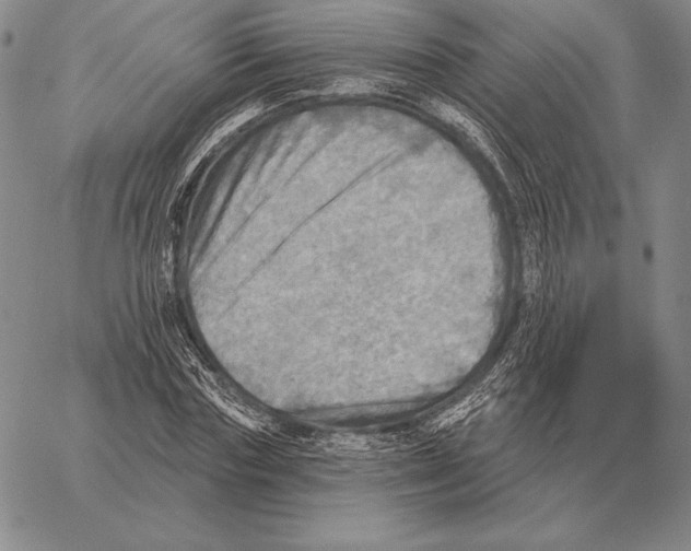 X0000066950827200604211813