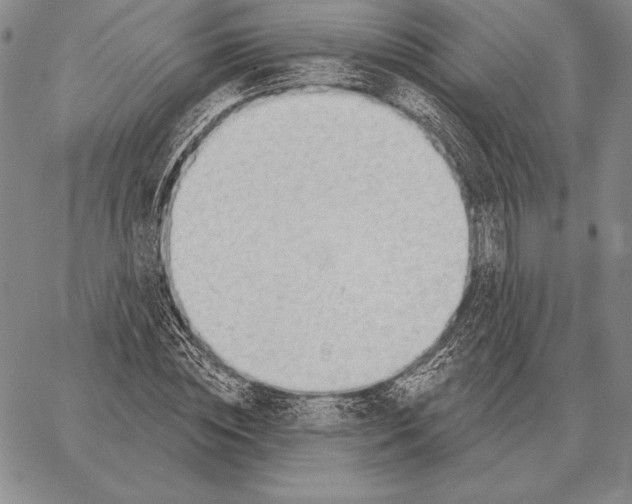 X0000066950828200604211813