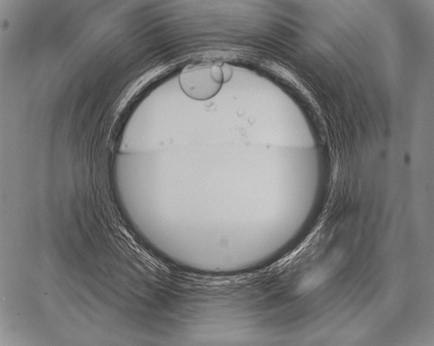 X0000066950829200604211813