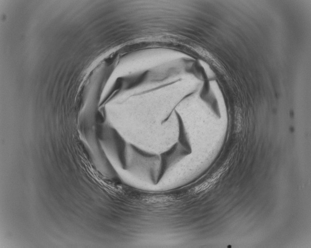 X0000066950830200604211813