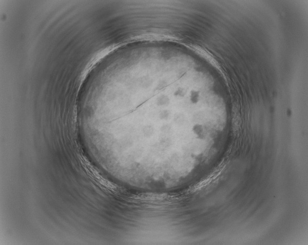 X0000066950831200604211813