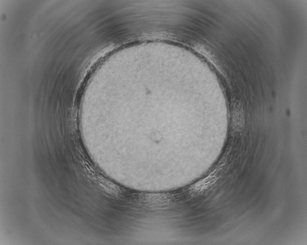 X0000066950832200604211813