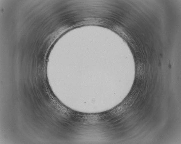 X0000066950836200604211813