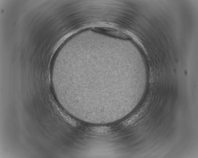 X0000066950837200604211813