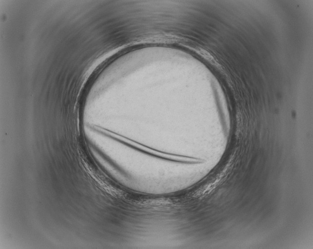 X0000066950838200604211813