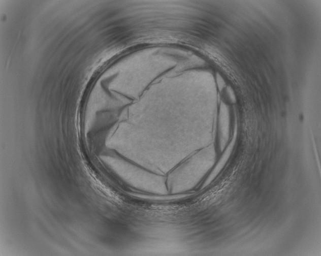 X0000066950840200604211813