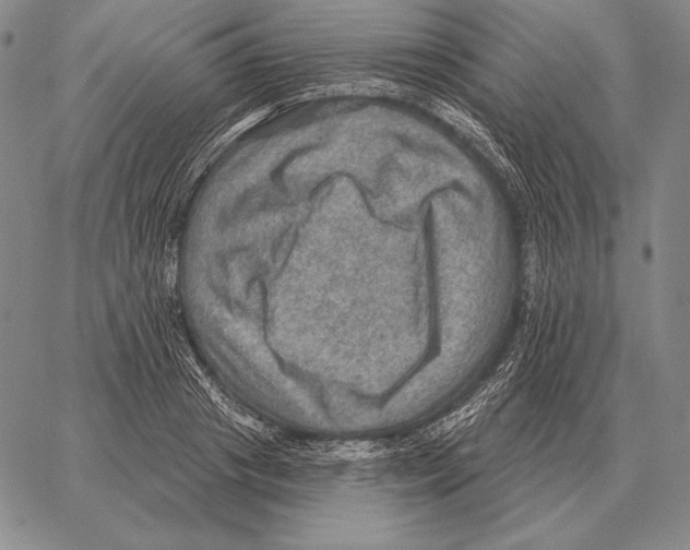 X0000066950841200604211813