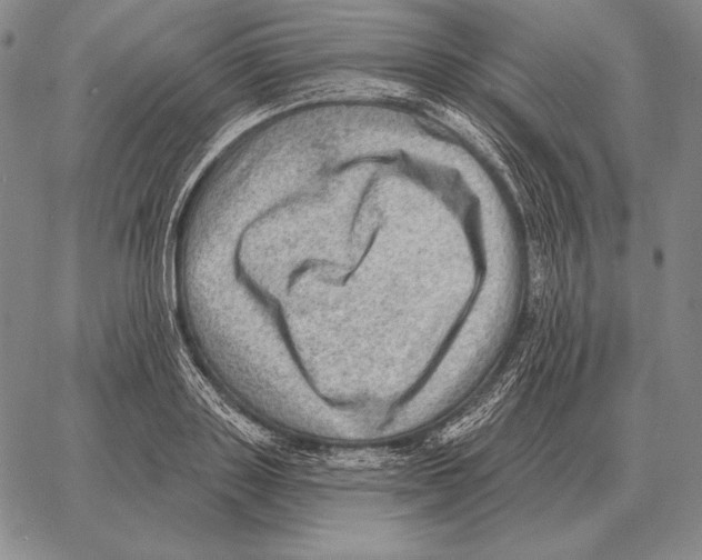 X0000066950843200604211813