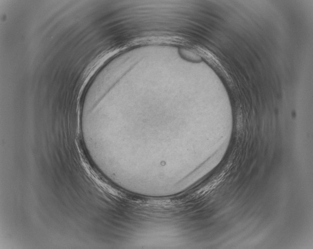 X0000066950844200604211813