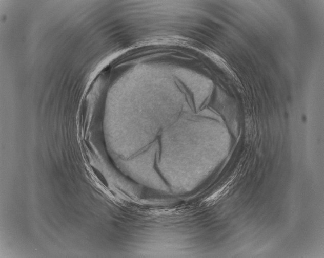 X0000066950846200604211813