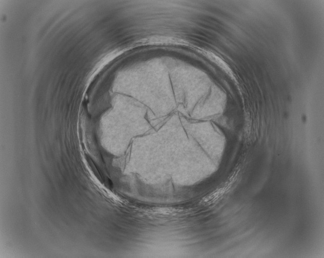 X0000066950847200604211813