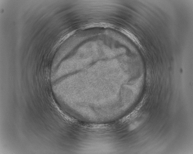 X0000066950849200604211813