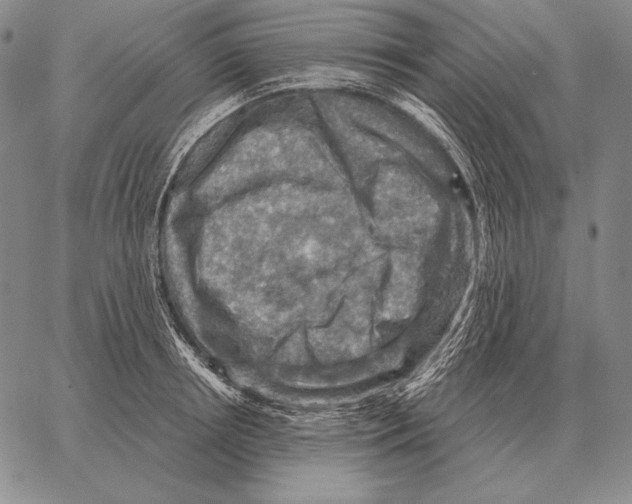 X0000066950850200604211813