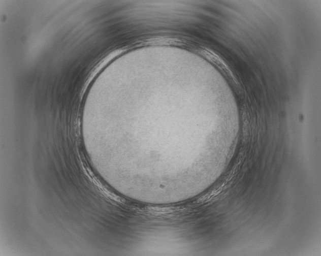 X0000066950852200604211813