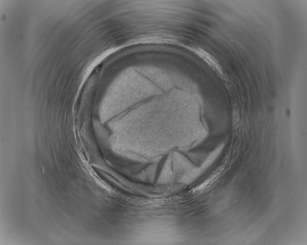 X0000066950854200604211813