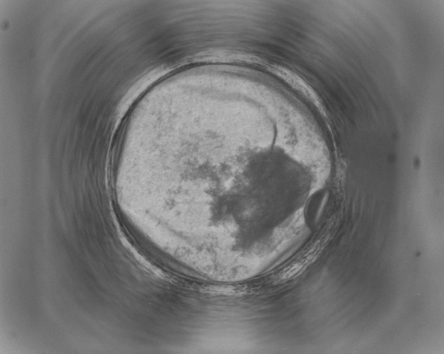 X0000066950855200604211813