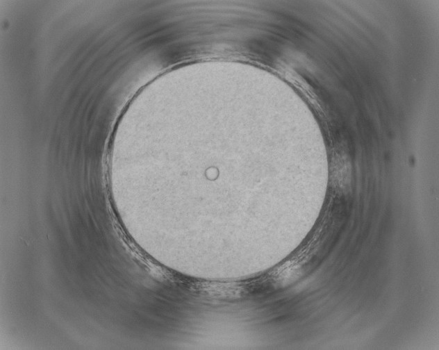 X0000066950856200604211813