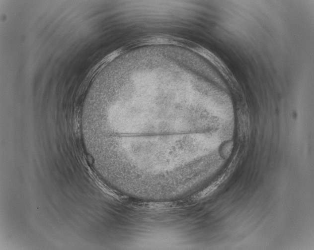 X0000066950857200604211813