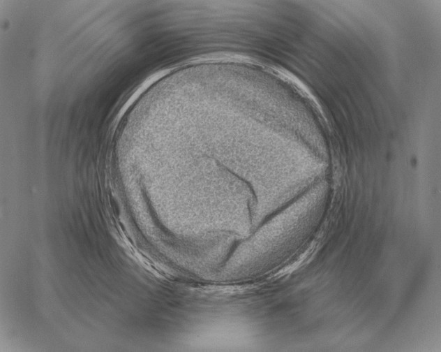 X0000066950860200604211813