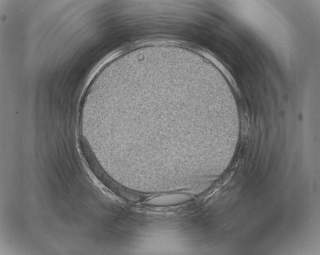 X0000066950861200604211813