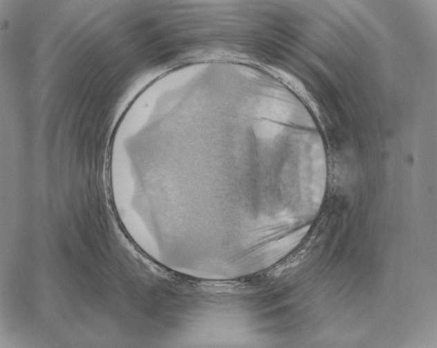 X0000066950863200604211813