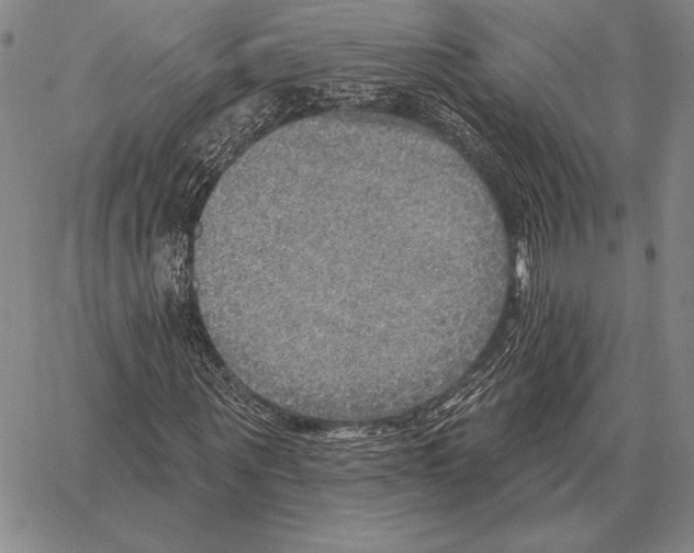 X0000066950867200604211813