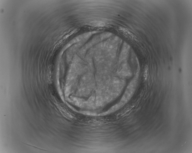 X0000066950868200604211813